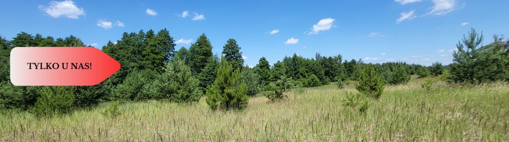 Działki z wz - świetna lokalizacja natura, jezioro