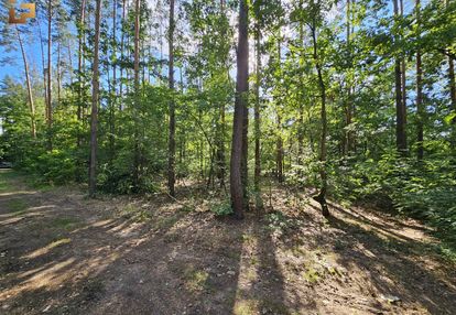 Działka budowlana / 1500m2 / las / skm