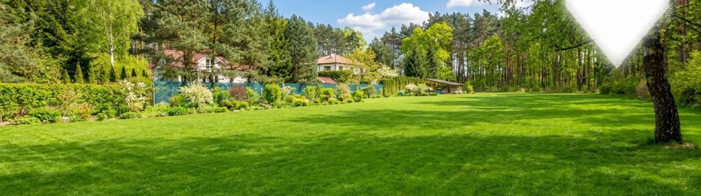 Działka 9130 m2 zabudowana domem 156 m2