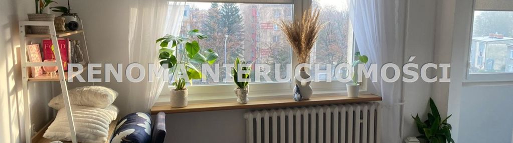 Jasna kuchnia - kawalerka - piaskowa góra