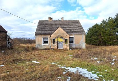 Dom + pom.gospodarcze na pół-hektarowym terenie!