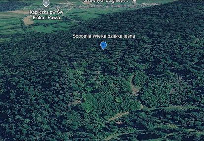 Działka leśna 807 m² na sprzedaż – sopotnia wielka