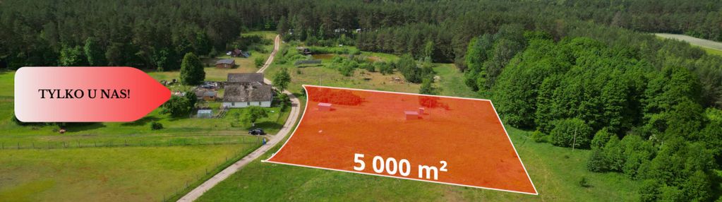Działka 5000 m2 ze ścianą lasu, raj dla duszy