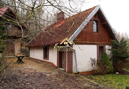 Sprzedam urokliwe siedlisko w środku lasu