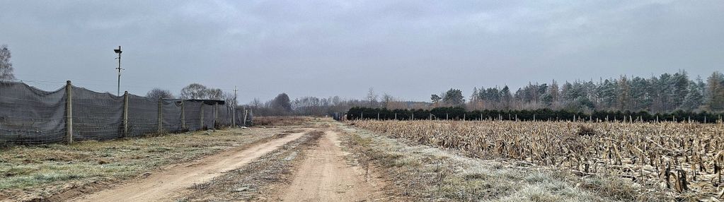 Duza działka pod dom i usługi – kolankowo