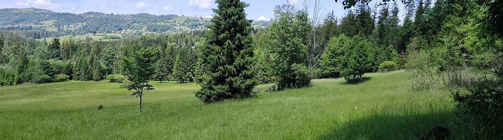 Działka budowlana laliki 1519 m² widokowa