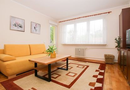 Wynajem|kawalerka|centrum miasta|balkon