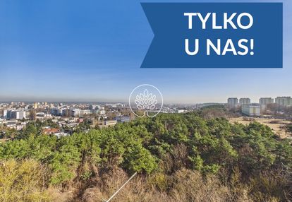 Szarych szeregów | sztos