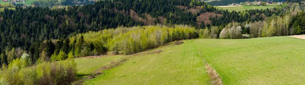 Działka rolno-budowlana polichty!