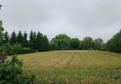 Działka budowlana 1080 m² – ostaszewo | wz | media