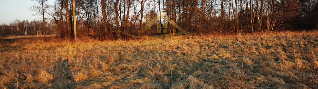 Sprzedaż ziemi chylice