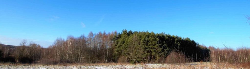 Działka 6600 m2, ćmińsk (gm. miedziana góra)