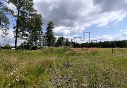 Urokliwa działka w sadych budach.