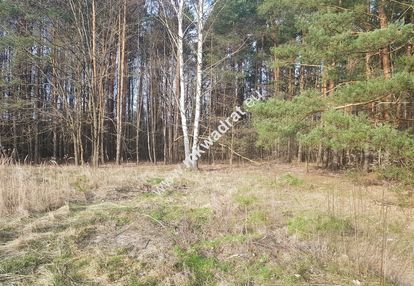 ⭐⭐⭐⭐2500 m2 urokliwa działka przy lesie z mpzp⭐⭐⭐⭐