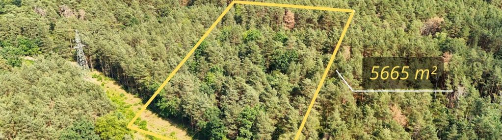 Luksusowa działka nas świdrem | 5665 m² - józefów