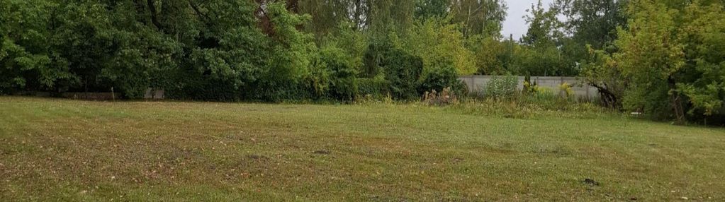 Działka w pięknej okolicy - złotokłos!