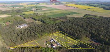 Działki turznica ( stary las )