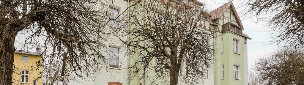 4 pokoje z dużym potencjałem w klimatycznej oliwie