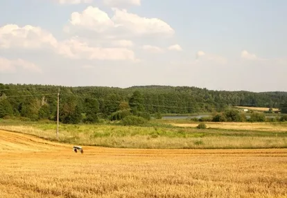 Działka na sprzedaż 1000m2