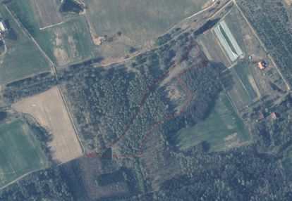 Działki budowlane - rogóż