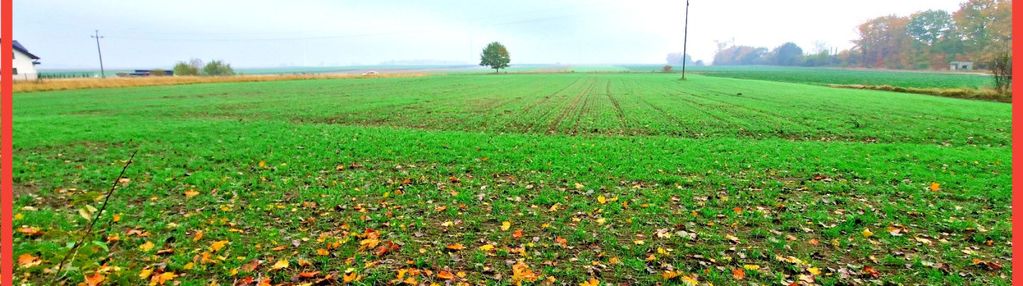 Działka z wz zaledwie 4 km od człuchowa!