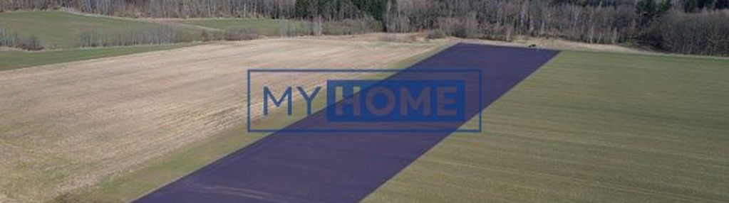 Działka rolna krzewie małe