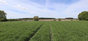Działka na sprzedaż bracholin gm. wągrowiec
