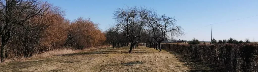 Działka na sprzedaż 1000m2