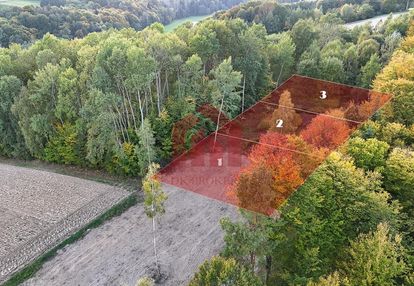 Własny ziemski kąt w otoczeniu lasu. zagórze gmina jodłowa.