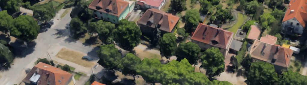 Dom w alei willowej, strzyża