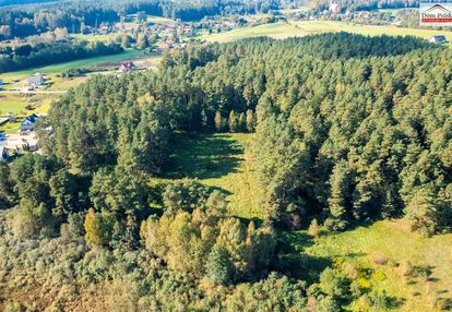 Działka w środku lasu
