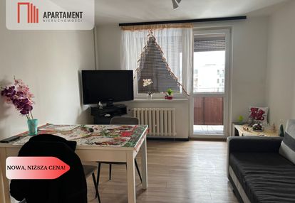 Kawalerka dla ciebie - wągrowiec