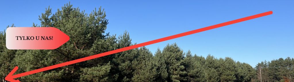 Działka pod lasem w spokojnej okolicy