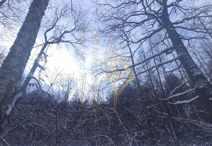 Wyjątkowa nieruchomość