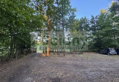 Działka na granicy złotokłosu i henrykowa