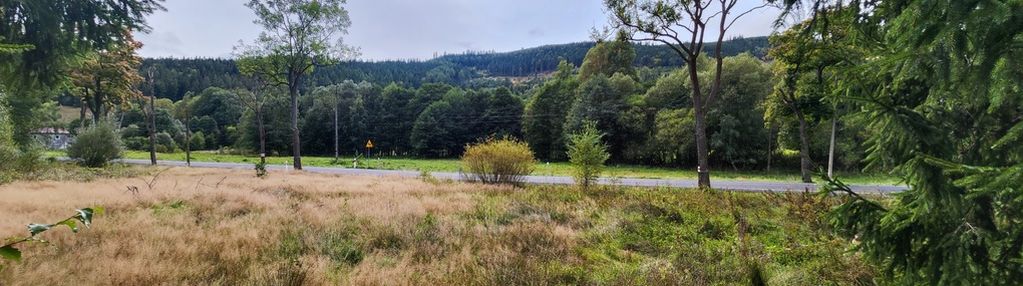 Działka budowlana w jarkowicach z widokiem na las