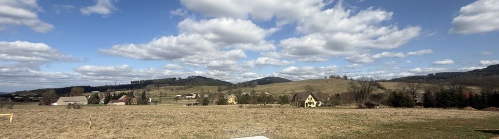 Działka w olszynach