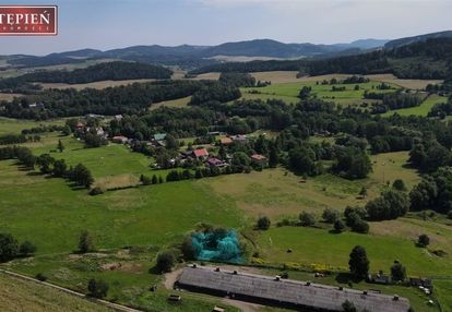 Działka w rudawach janowickich