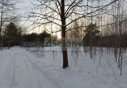 Sulejówek, piękna dzialka z drzewami