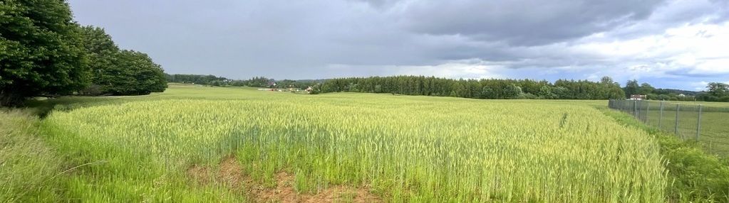 Sprzedam działkę - gady