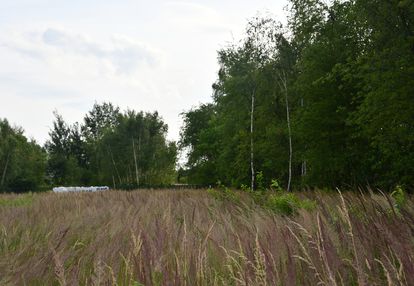 Działki 2 x 11a pod zabudowę - rudna mała