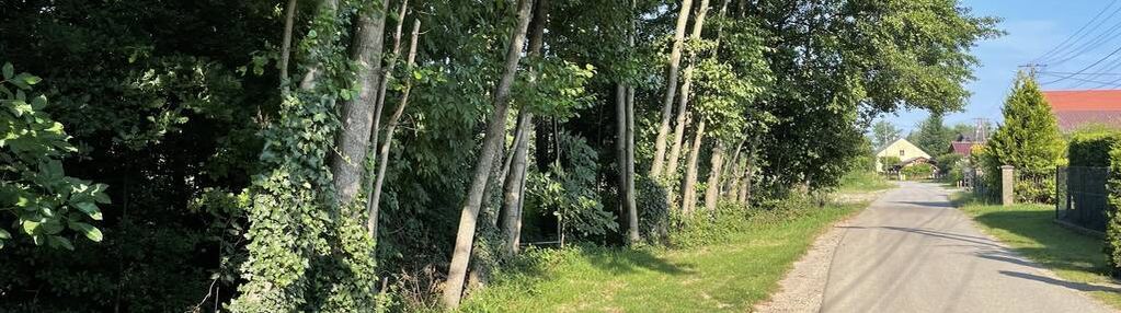 Działka budowlana krzeczów | media | droga