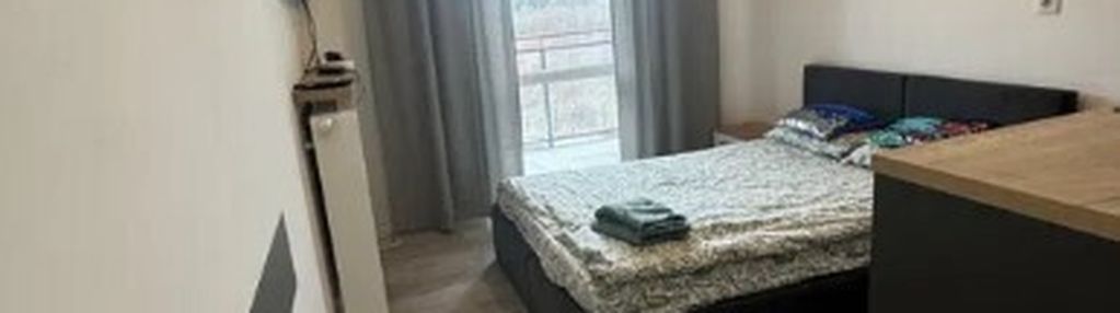 Kawalerka na włochach