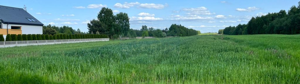 Duża działka na sprzedaż/lubojna/spokojna okolica