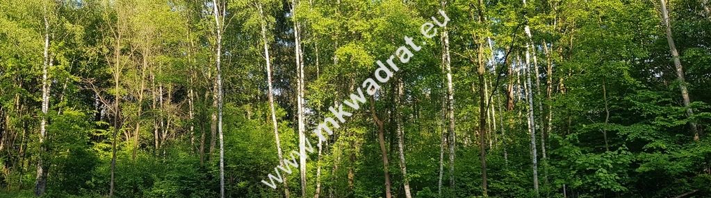 Blisko wkd pod dom 2 lokalowy mpzp media warto!