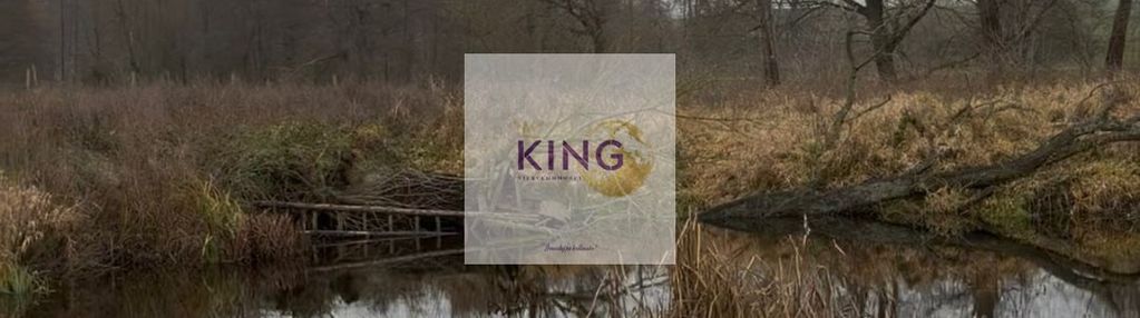 Duża działka ze stawem i możliwością zabudowy