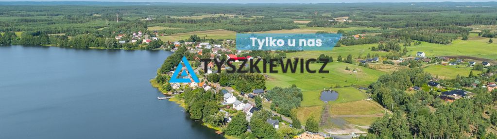 Dom z linią brzegową- sominy