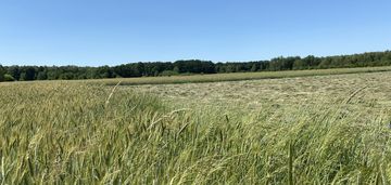 Dzialka na sprzedaż_opole grudzice