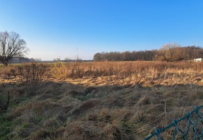 Atrakcyjna działka budowlana w bełchatowie