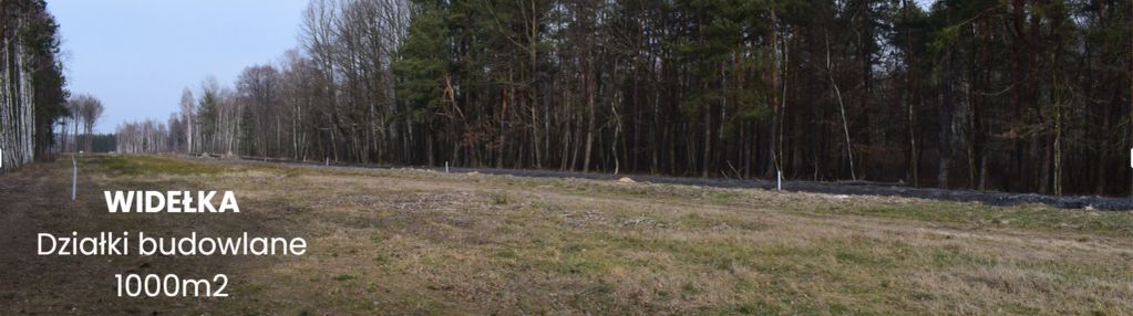 Działki 10a pod zabudowę pod lasem- widełka